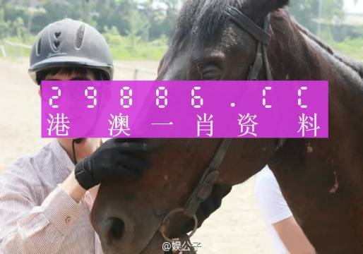 澳门今晚必中一肖一码，精准答案解释落实_iShop94.30.56