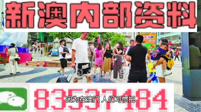 新澳门2024年资料大全管家婆，精准答案解释落实_3D32.48.44