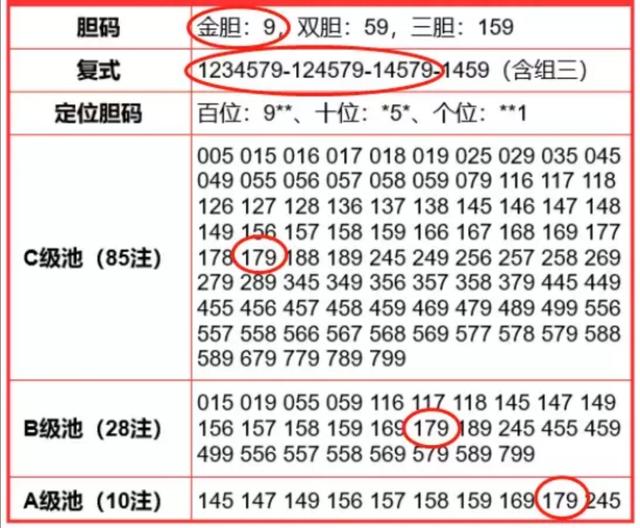 2024澳门今晚开奖号码，准确答案解释落实_V版69.15.50