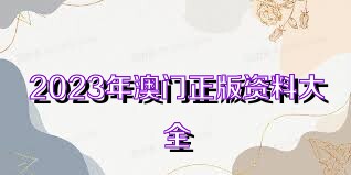 2023年正版澳门全年免费资料，全面分析解释落实_网红版49.81.86