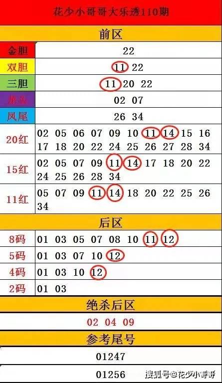 新澳门一码一肖一特一中准选今晚，统计分析解释落实_免费版20.70.68