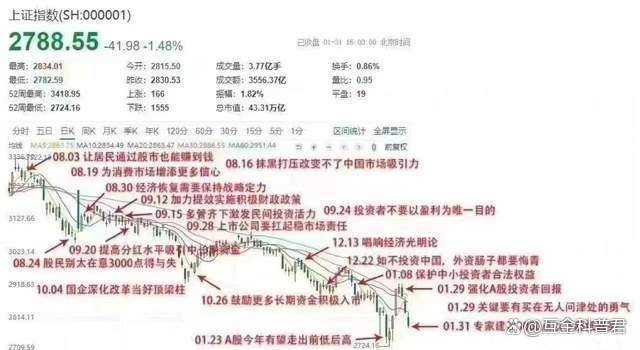 正宗香港内部资料，科学数据解释落实_运动版65.29.12