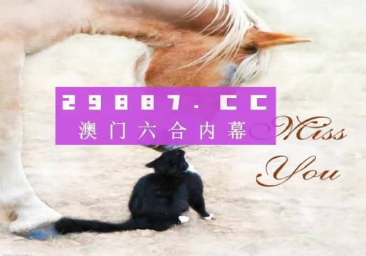 新澳门4949正版大全，详细解读解释落实_影像版94.40.22