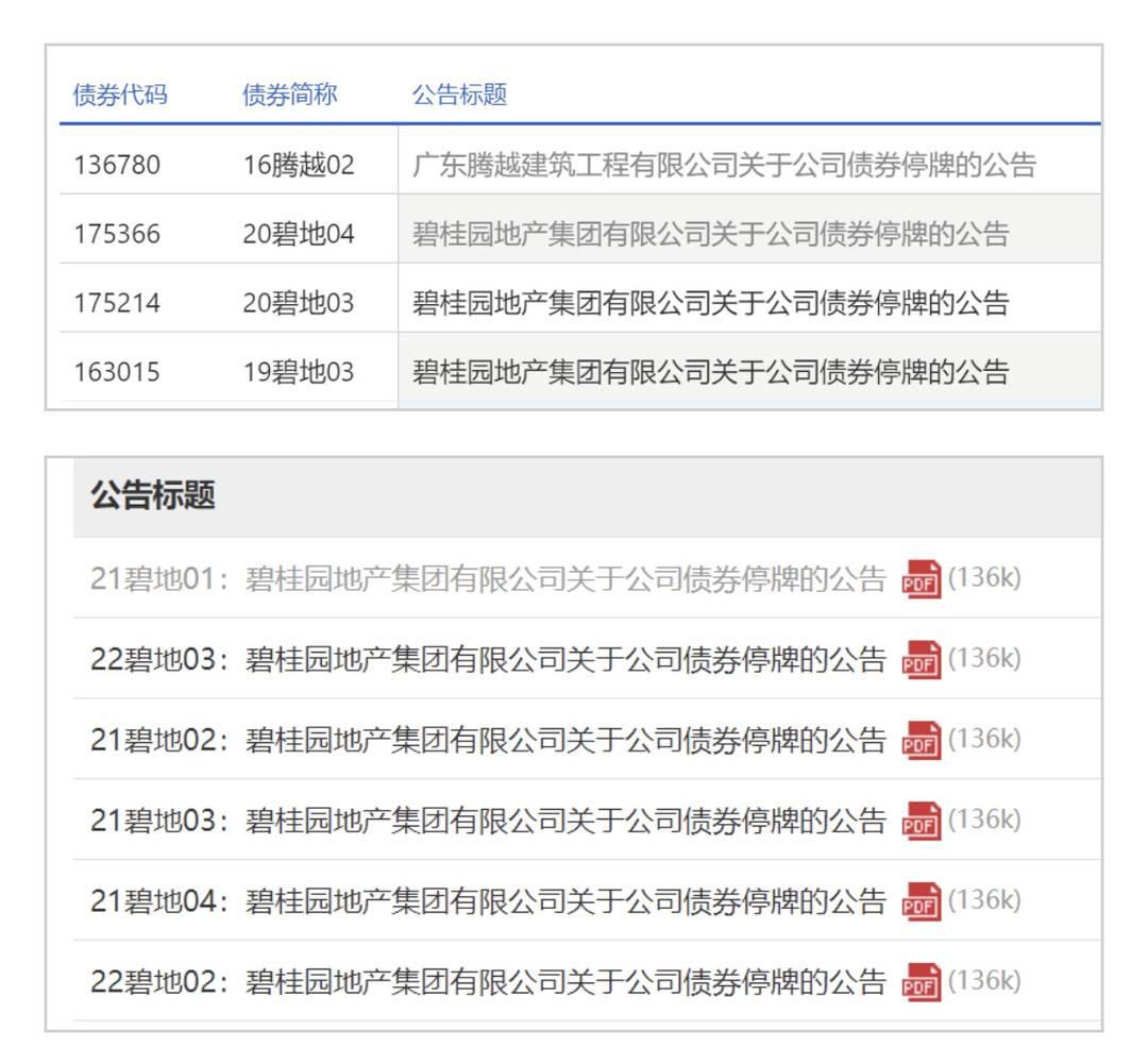 
          
            碧桂园系四只境内债将于10月21日复牌，持有人会议已调整本息兑付安排
        